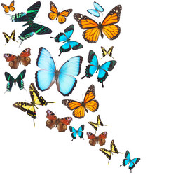 Similar image 10448121