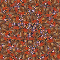 Similar image 10448122