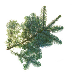 Similar image 10448148