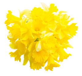 Similar image 10448163