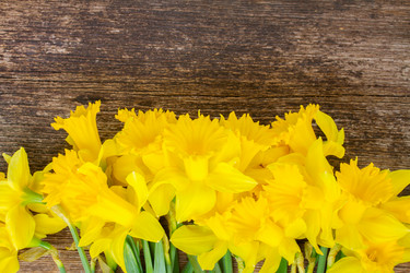 Similar image 10448164