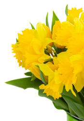 Similar image 10448165