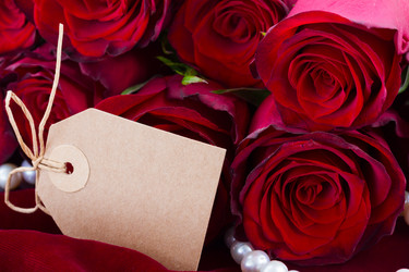 Similar image 10448173