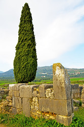 Similar image 10448178