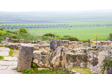 Similar image 10448183