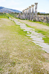 Similar image 10448186