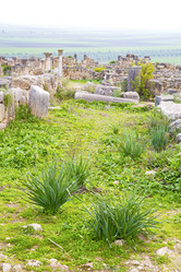 Similar image 10448190