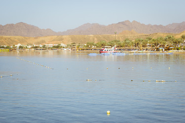 Similar image 10448216