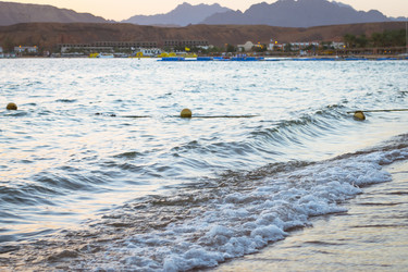 Similar image 10448219