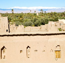 Similar image 10448230