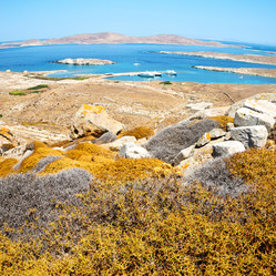 Similar image 10448231