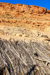 Similar image 10448240