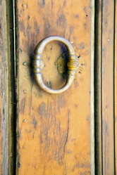 Similar image 10448255