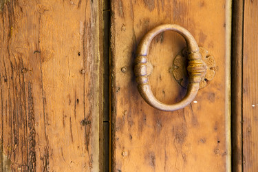 Similar image 10448257