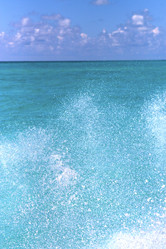 Similar image 10448266