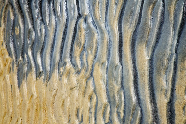 Similar image 10448268