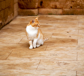 Similar image 10448315