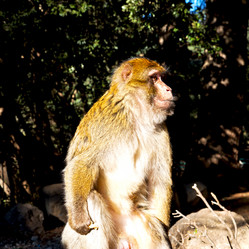 Similar image 10448316