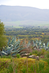 Similar image 10448378