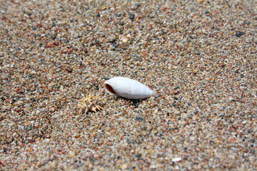 Similar image 10448402