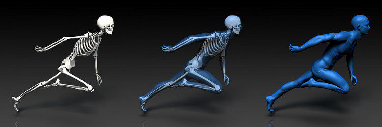 Similar image 10448577