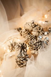 Similar image 10448628