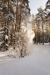 Similar image 10448693