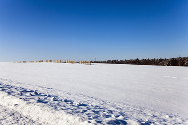 Similar image 10448709