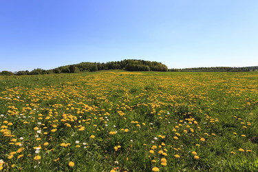 Similar image 10448715