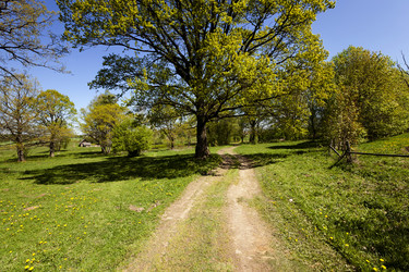 Similar image 10448723