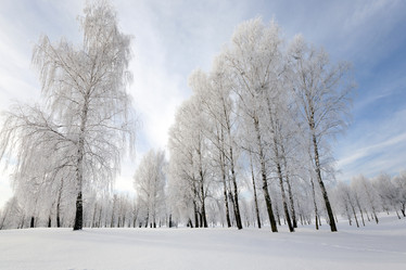 Similar image 10448724