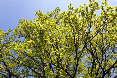 Similar image 10448728