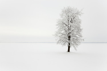 Similar image 10448734