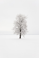 Similar image 10448735