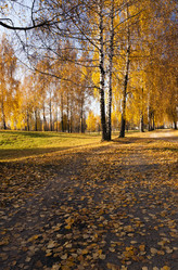 Similar image 10448746