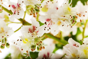 Similar image 10448754