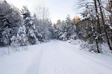 Similar image 10448772