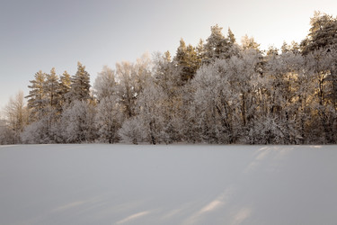 Similar image 10448780