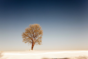 Similar image 10448782