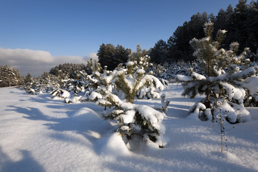 Similar image 10448794