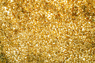 Similar image 10448826