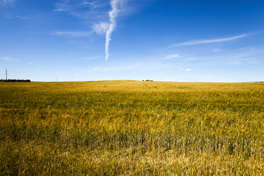 Similar image 10448828