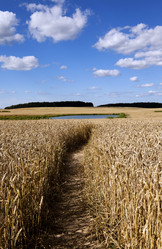 Similar image 10448833