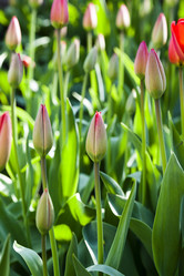 Similar image 10448846