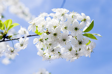 Similar image 10448848