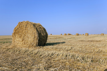 Similar image 10448863