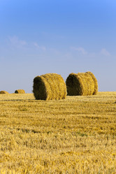 Similar image 10448869