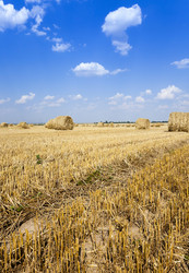 Similar image 10448879