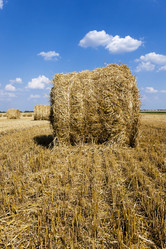 Similar image 10448880