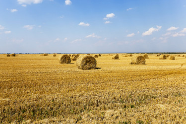 Similar image 10448885